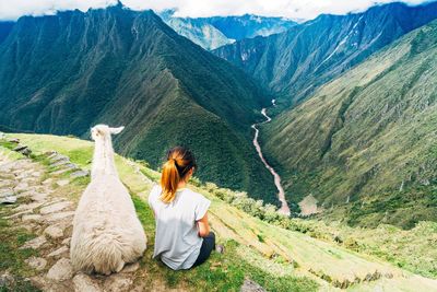 Rear view of young woman by llama sitting on mountain