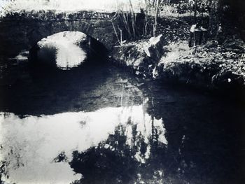 Reflection of trees in water