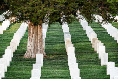 View of cemetery