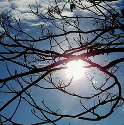 Low angle view of silhouette bare trees against sky