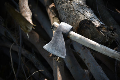 Iron axe which is used as a weapon or tool to shape, split and cut wood