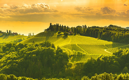 South styria vineyards landscape, place near gamlitz, austria, eckberg, europe.