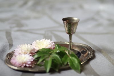 High angle view of wine in glass on table