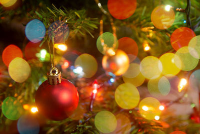 Close-up of illuminated christmas tree
