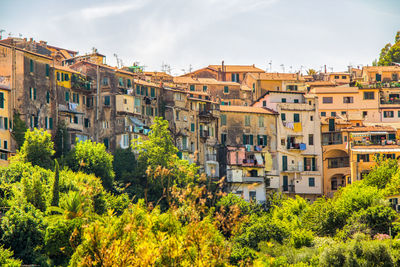 Buildings in city