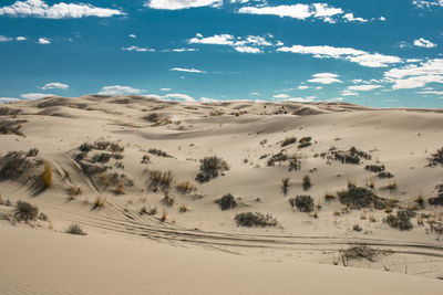 Scenic view of desert against sky