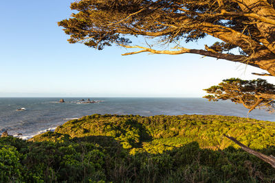 Scenic view of sea against clear sky