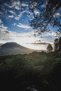 Scenic view of landscape against sky during sunset