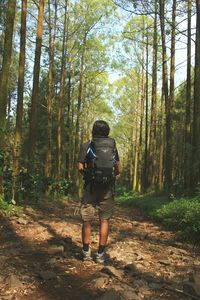 Rear view of man standing in forest