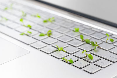 Close-up of computer keyboard