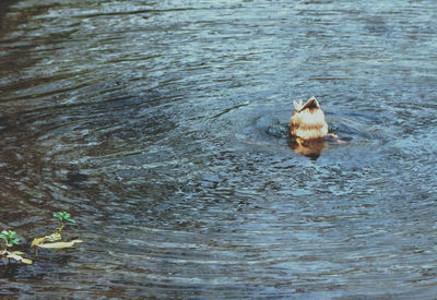 View of water in water