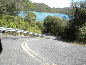 Road by trees