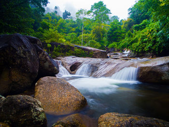 Scenic view of waterfall in forest