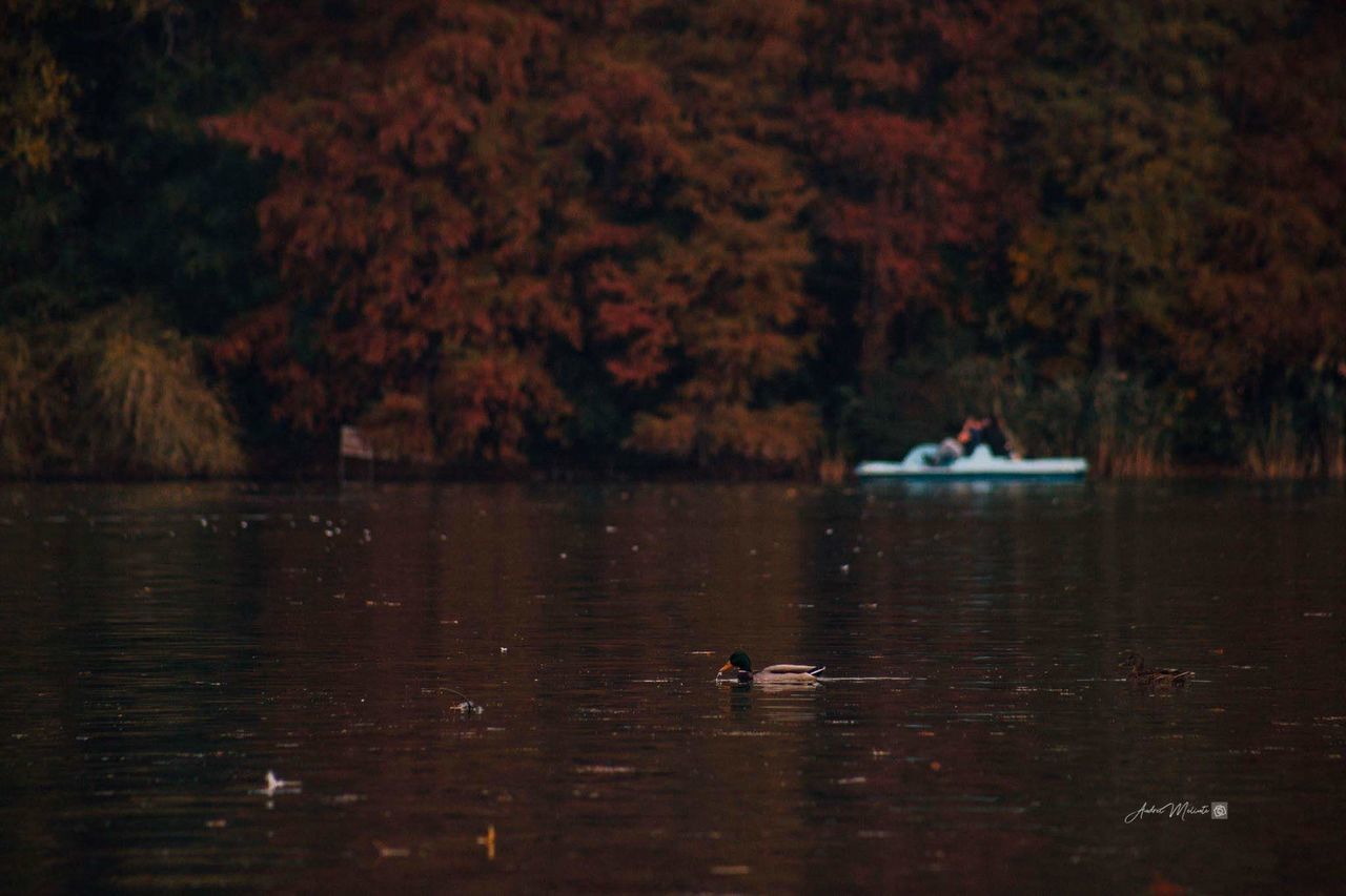 SCENIC VIEW OF LAKE