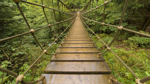 Rope bridge stretches to the horizon. adventure hiking on the rothaarsteig near schmallenberg.