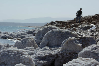 Rear view of man standing at beach against clear sky