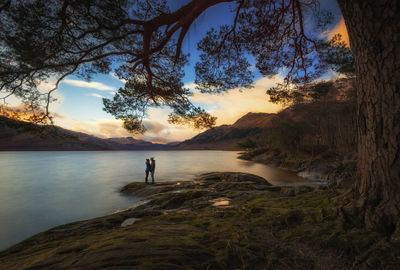 Reflection of trees in lake