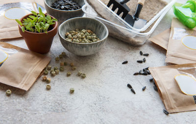 Microgreen seeds in paper bags and microgreen sowing equipment on the table. healthy food.