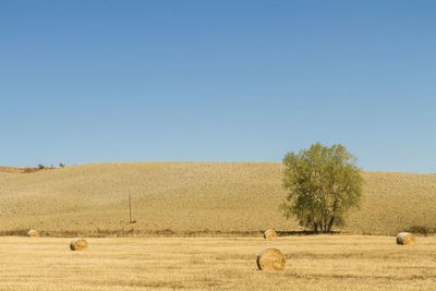 Hay bales on field against clear sky