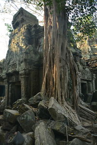 Low angle view of old ruin building