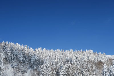 Low angle view of snow against clear blue sky