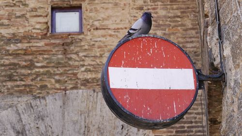 Close-up of arrow sign with dove on wall