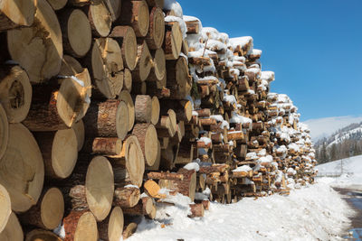 Woodpile with snow- cross section of tree trunks background.