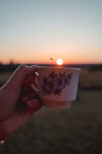 Midsection of person holding red rose against sky during sunset