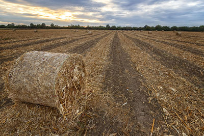 Hay bales on field against sky