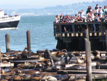 View of pier in sea