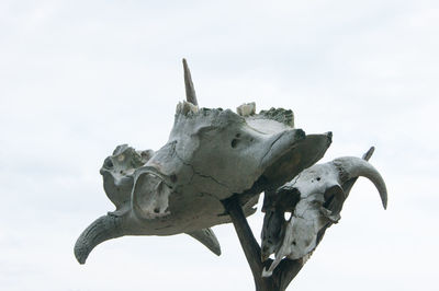 Low angle view of animal skull