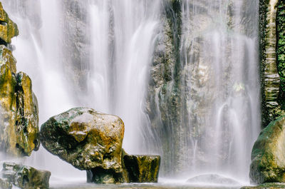 Scenic view of waterfall in forest