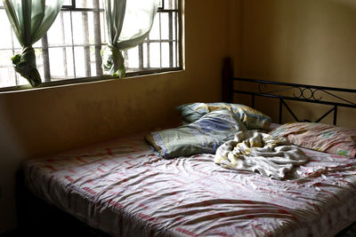 Cat on bed by window at home