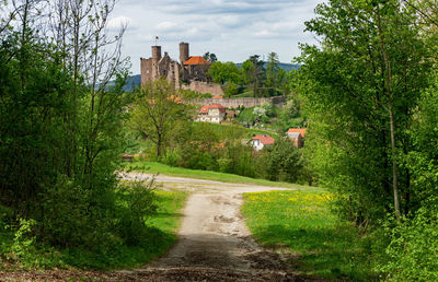 Footpath amidst trees and buildings against sky