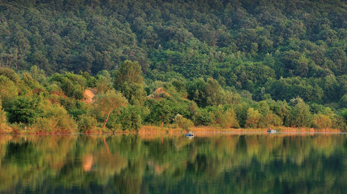 Scenic view of lake in forest during autumn