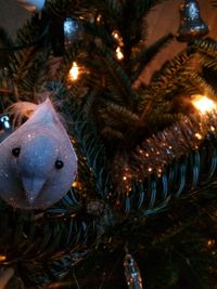 Close-up of christmas tree at night