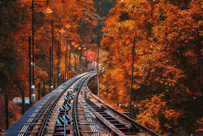 High angle view of railroad tracks during autumn