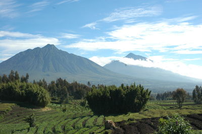 Scenic view of field and mountains against sky