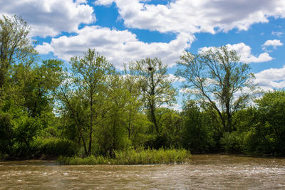 Scenic view of river by trees against sky