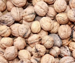 Full frame shot of walnuts
