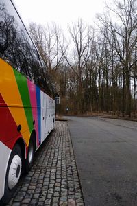 Road amidst bare trees against sky