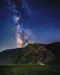 Scenic view of landscape against sky at night