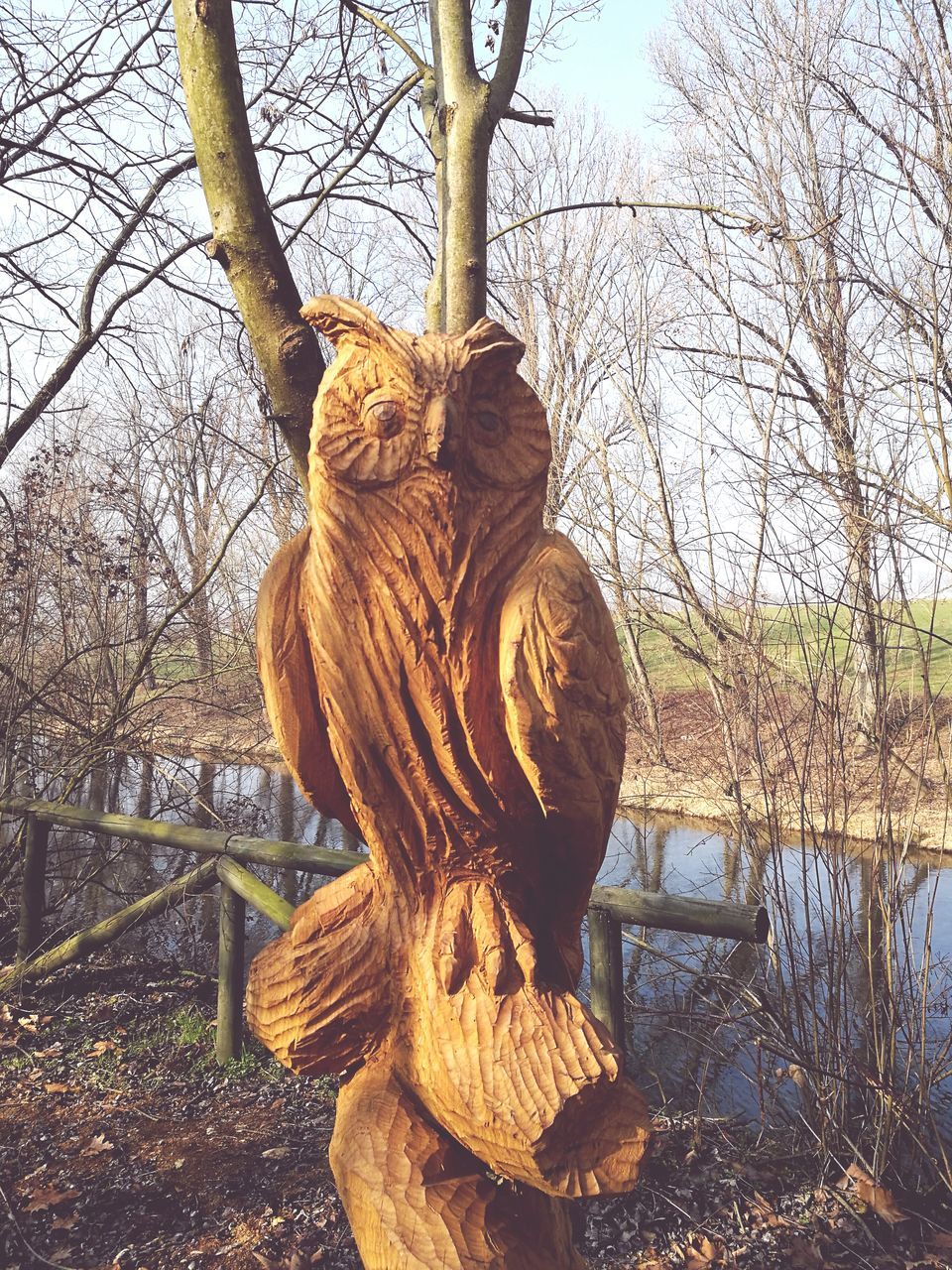 tree, sculpture, statue, no people, nature, outdoors, animal themes, day, sky, close-up, mammal