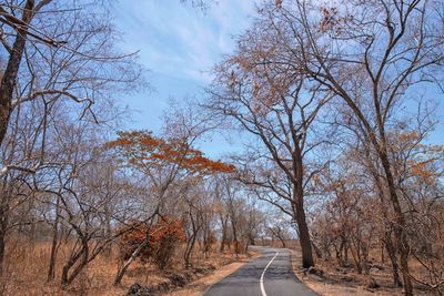 Road amidst trees against sky
