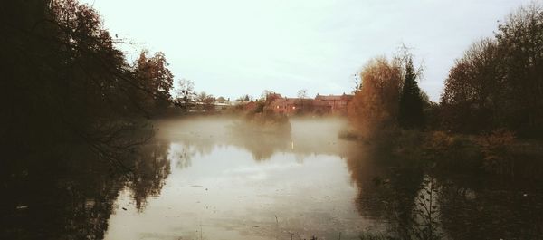 Reflection of trees in water