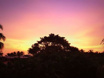 Silhouette trees on landscape against sky at sunset