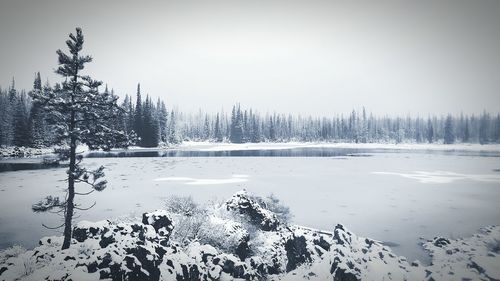 Scenic view of snow covered landscape