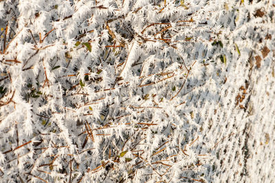 Full frame shot of cracked land