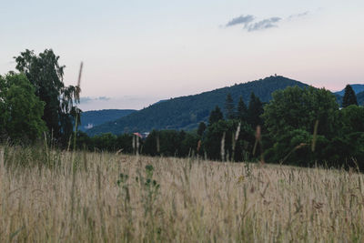 Scenic view of landscape against sky