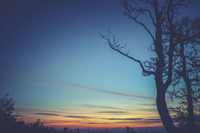 Bare trees on landscape against sky at sunset